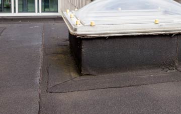 disadvantages of Wilsontown flat roofs