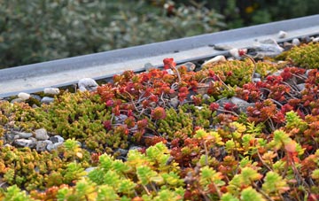 the cost of Wilsontown green roof installation